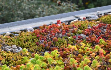 the cost of Rickerscote green roof installation