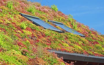 Rickerscote living roof systems