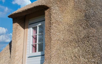 Rickerscote thatch roof disadvantages