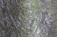 Rickerscote fibreglass roof work