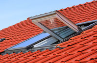 Rickerscote roof window